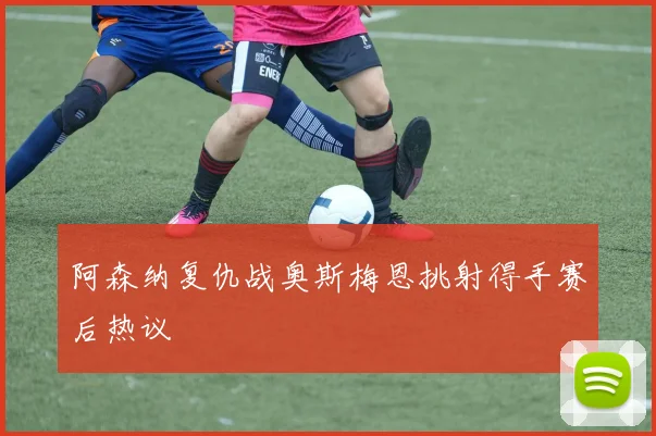 阿森纳复仇战奥斯梅恩挑射得手赛后热议