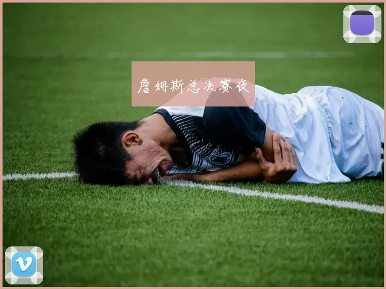 詹姆斯总决赛夜