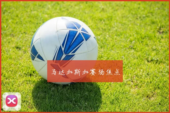 马达加斯加赛场焦点