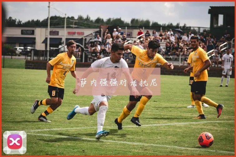 萨内强强对话托尼