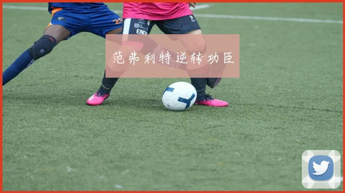 范弗利特逆转功臣