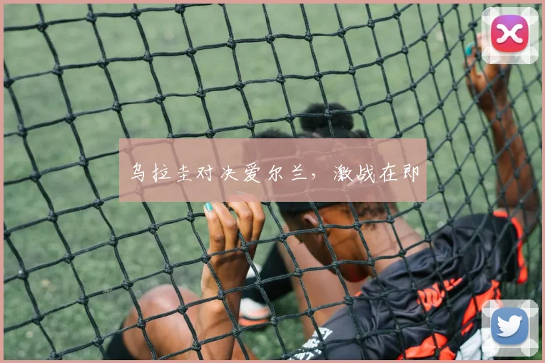 乌拉圭对决爱尔兰，激战在即