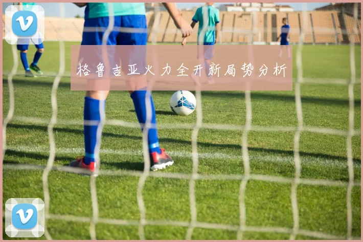格鲁吉亚火力全开新局势分析