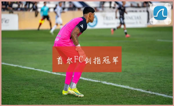 首尔FC剑指冠军