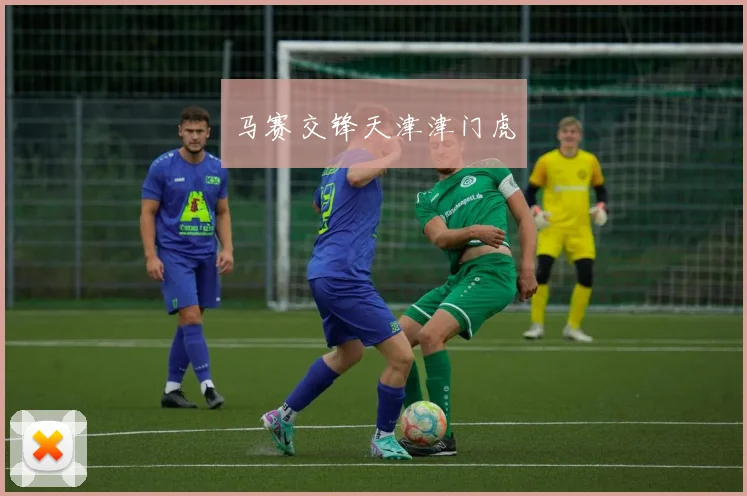 马赛交锋天津津门虎