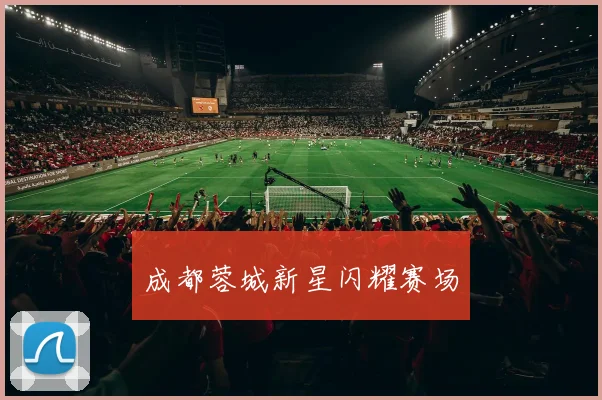 成都蓉城新星闪耀赛场