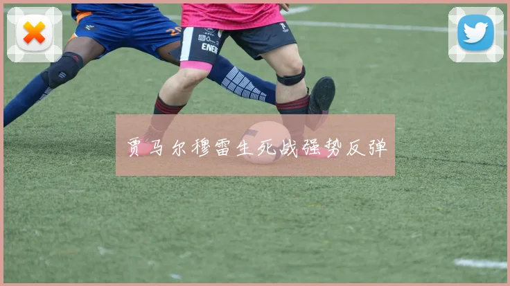 贾马尔穆雷生死战强势反弹