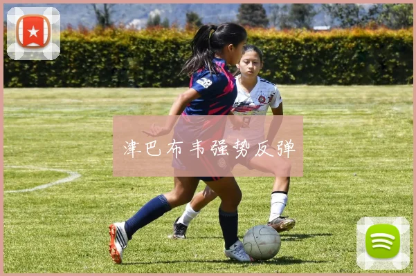 津巴布韦强势反弹