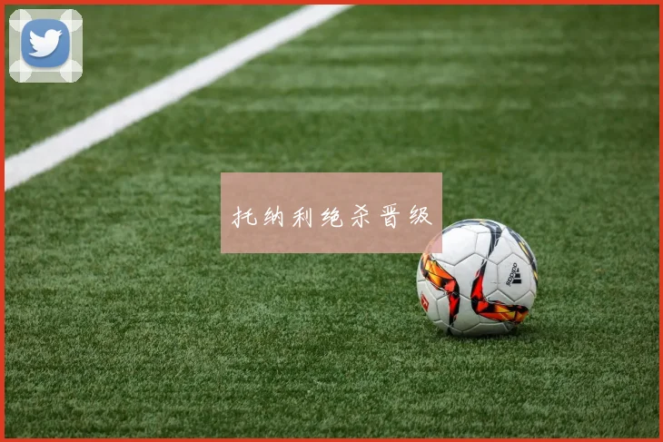 托纳利绝杀晋级