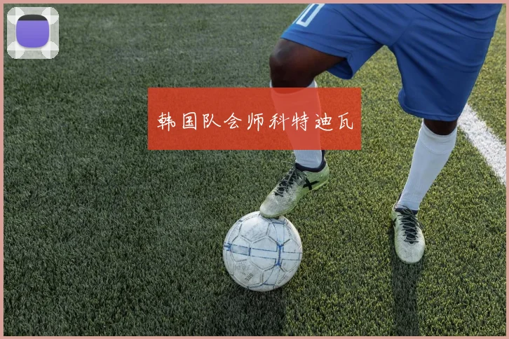 韩国队会师科特迪瓦