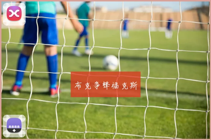 布克争锋福克斯