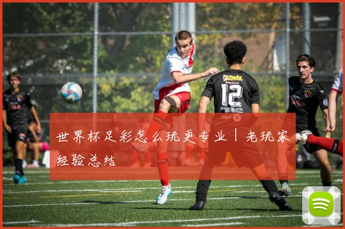 世界杯足彩怎么玩更专业｜老玩家经验总结