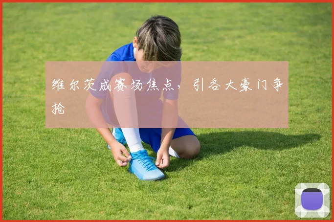 维尔茨成赛场焦点，引各大豪门争抢