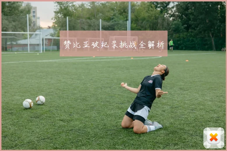 赞比亚破纪录挑战全解析