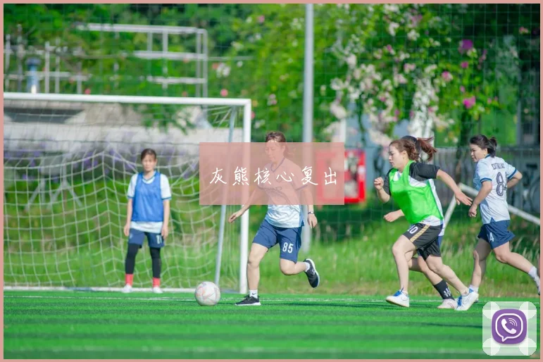 灰熊核心复出