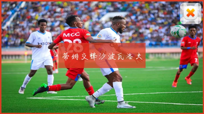 蒂姆交锋沙波瓦洛夫