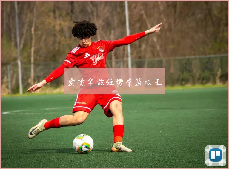 爱德华兹强势夺篮板王