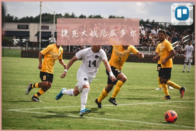捷克大战厄瓜多尔