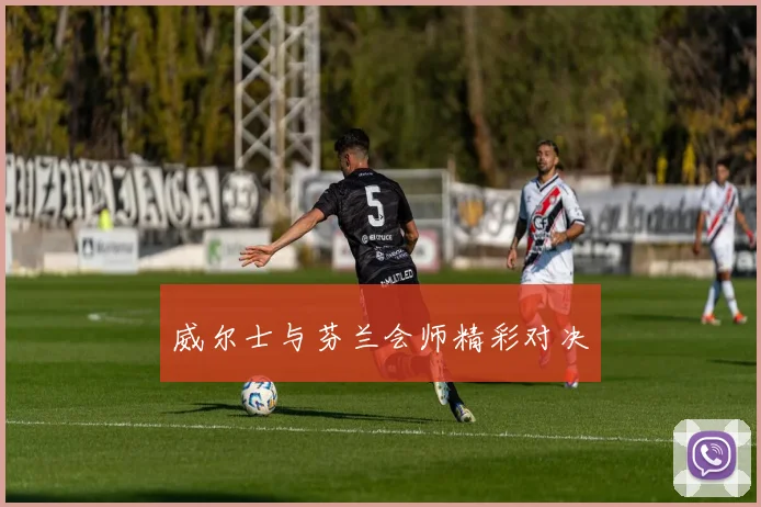 威尔士与芬兰会师精彩对决