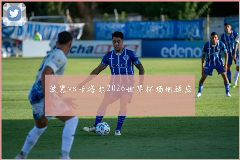 波黑vs卡塔尔2026世界杯场地适应