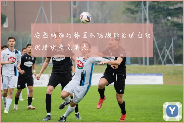 安图纳面对韩国队防线能否送出助攻进攻重点看点