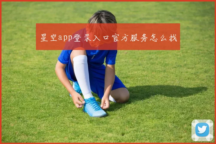 星空app登录入口官方服务怎么找