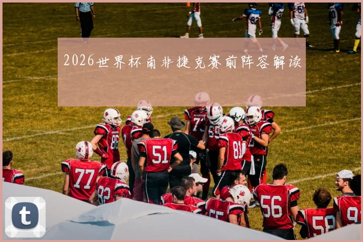 2026世界杯南非捷克赛前阵容解读