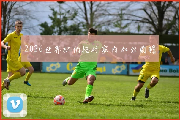 2026世界杯伯格对塞内加尔前瞻